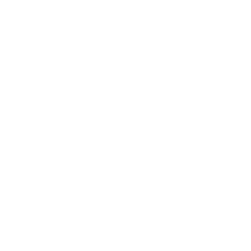 Bad Amish